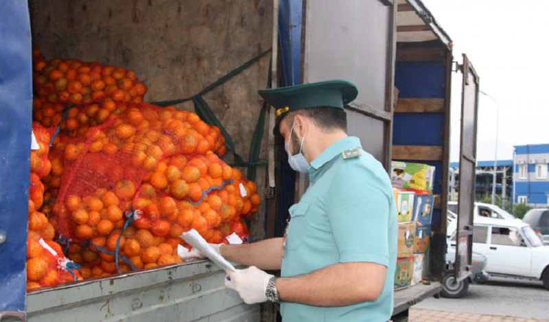 перевозка мандаринов из Абхазии в Россию